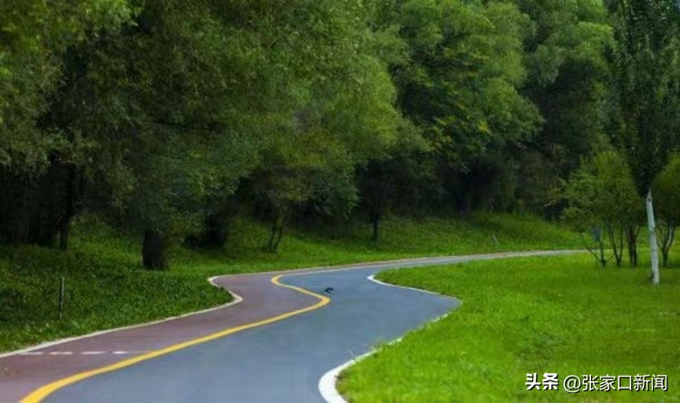 喜迎二十大奋进新征程,二十大奋力写好新时代赶考答卷