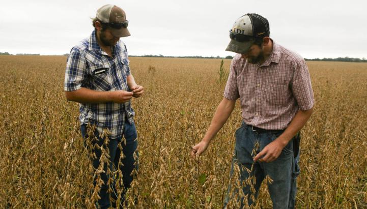 发达国家对农业多实行财政补贴,发达国家对农业的政策