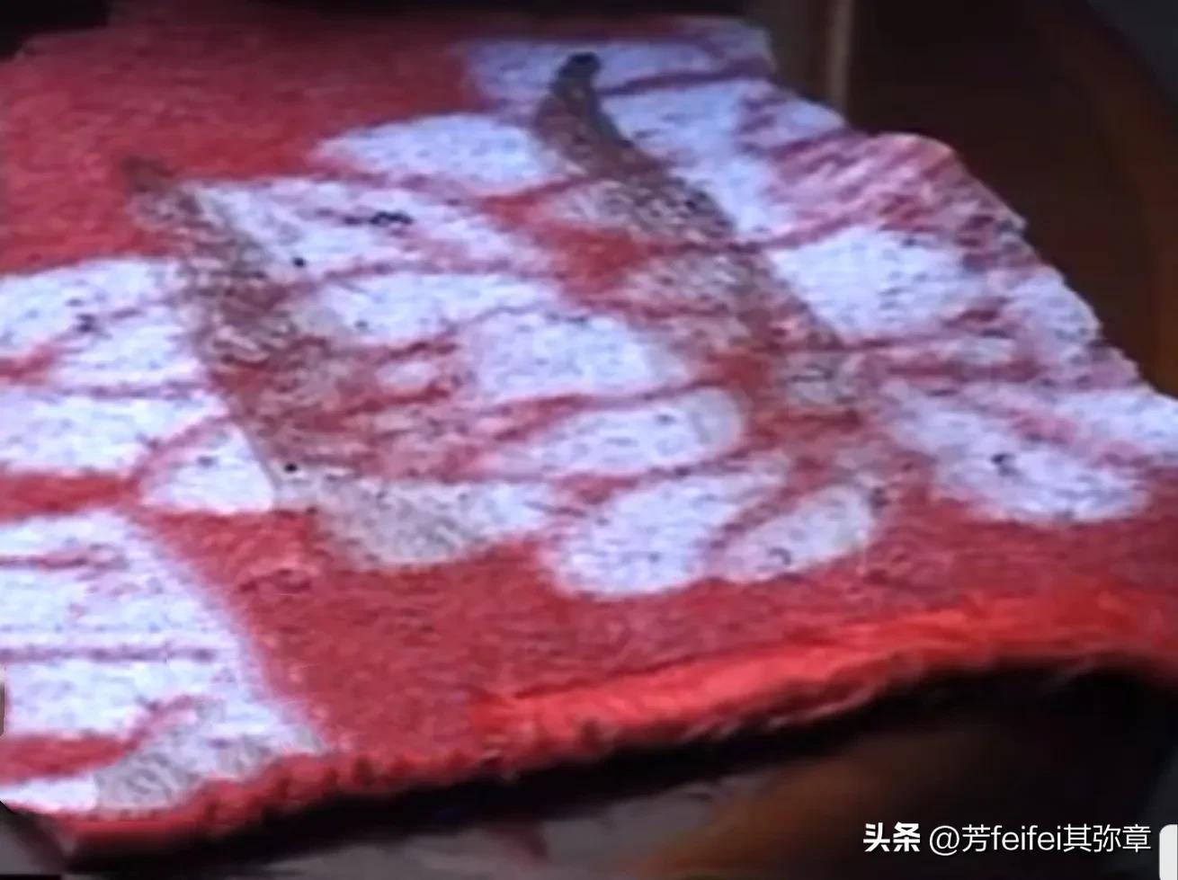 西昌连环*门惨灭**案！上到70岁老人，下到8、9岁孩童，一律惨遭屠戮