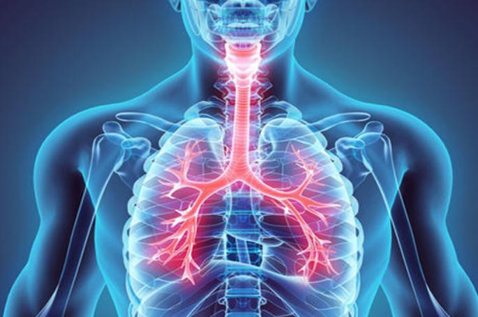 流鼻血花费一千多,治疗流鼻血喝中药可以改善么