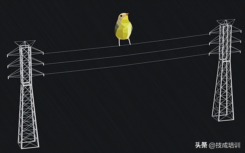 为啥小鸟站电线上为啥不会被电？但人一碰就会被电抽搐？