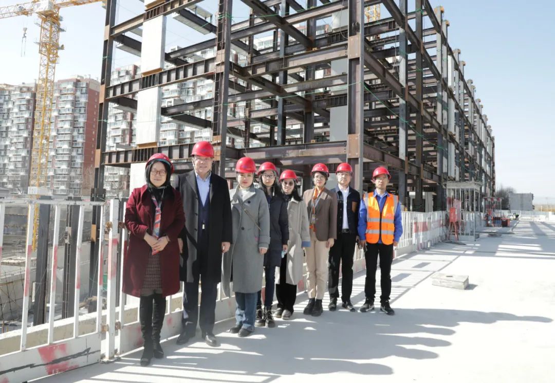 文林峰,文林峰简历