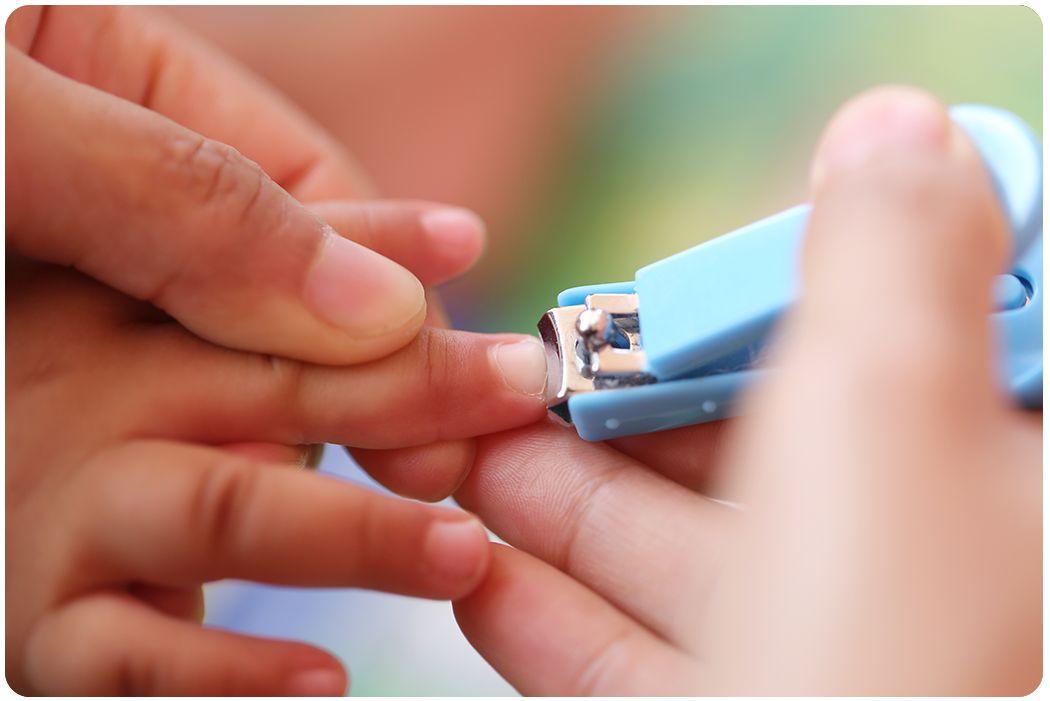 醇鲜然羊大师,怎么剪羊指甲