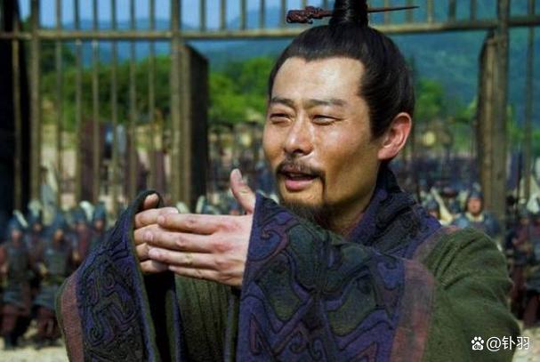 鲁肃是一个怎样的人用成语概括,鲁肃是个怎么样的人举例说明