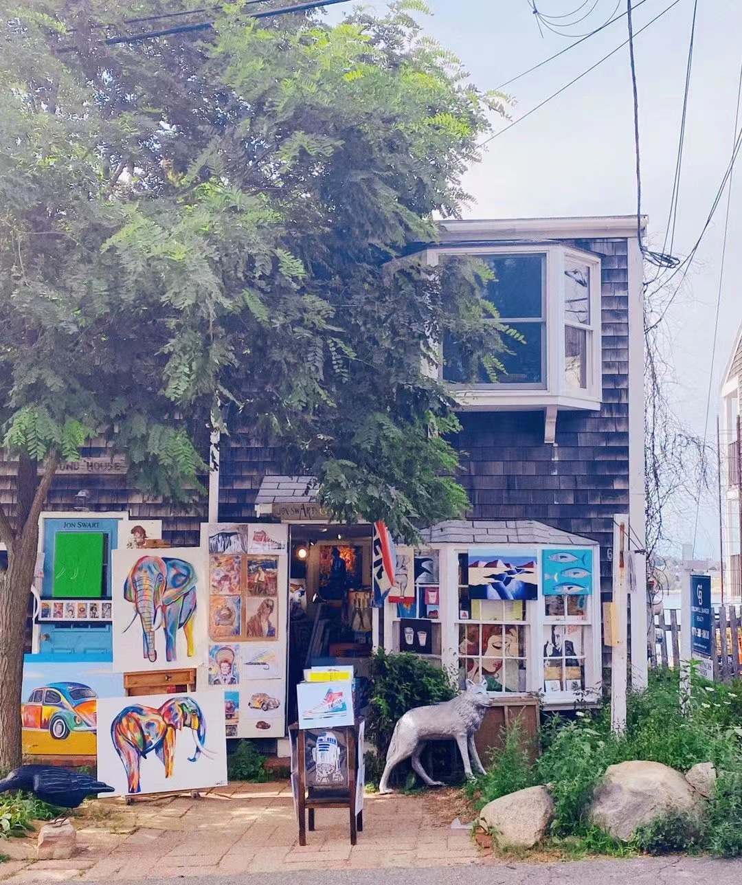 80后Cindy从美国到加拿大：放弃体制内工作，大龄毅然出国深造