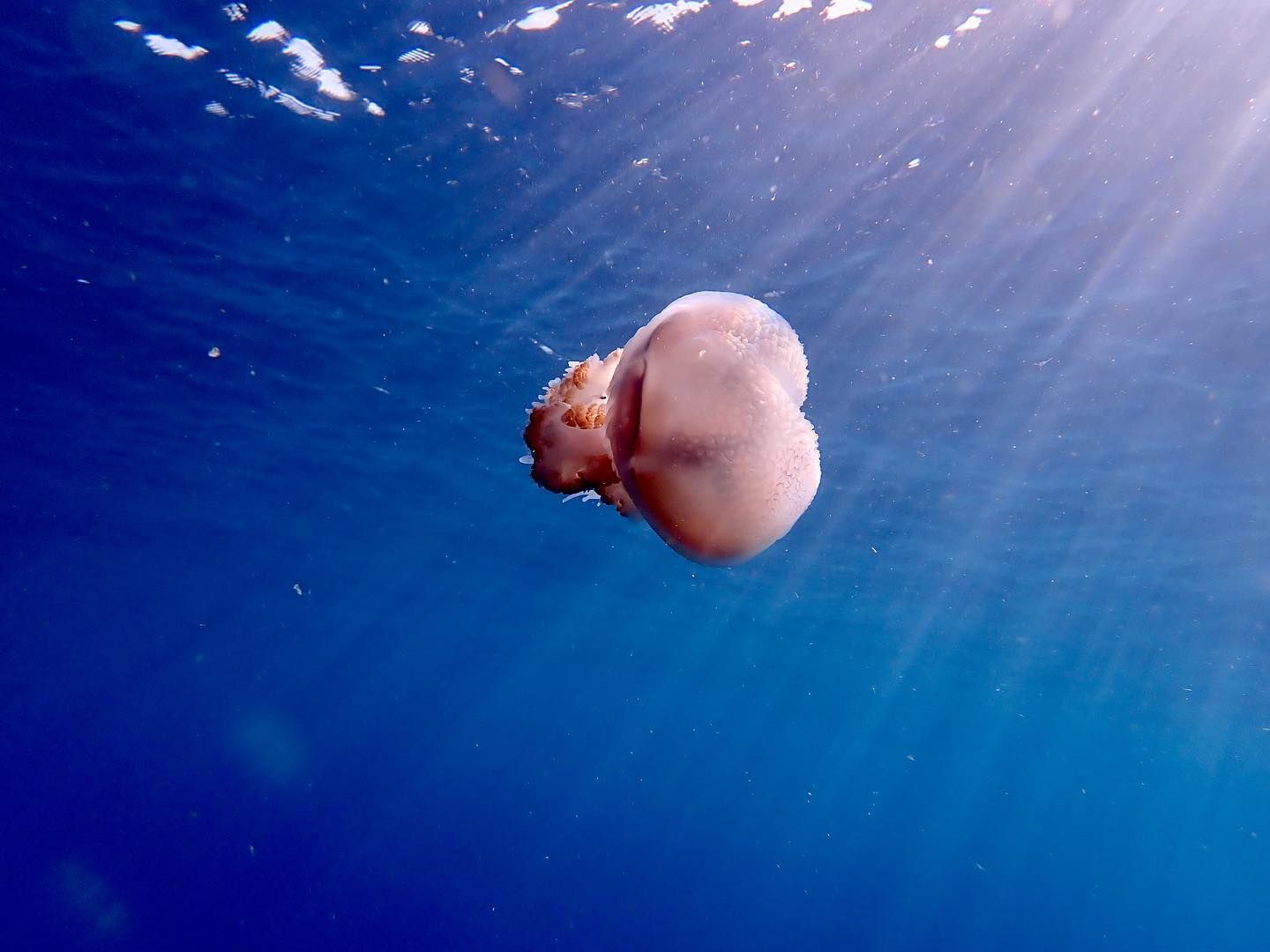 普吉岛nuibeach浮潜,普吉岛浮潜最好的地方在哪里