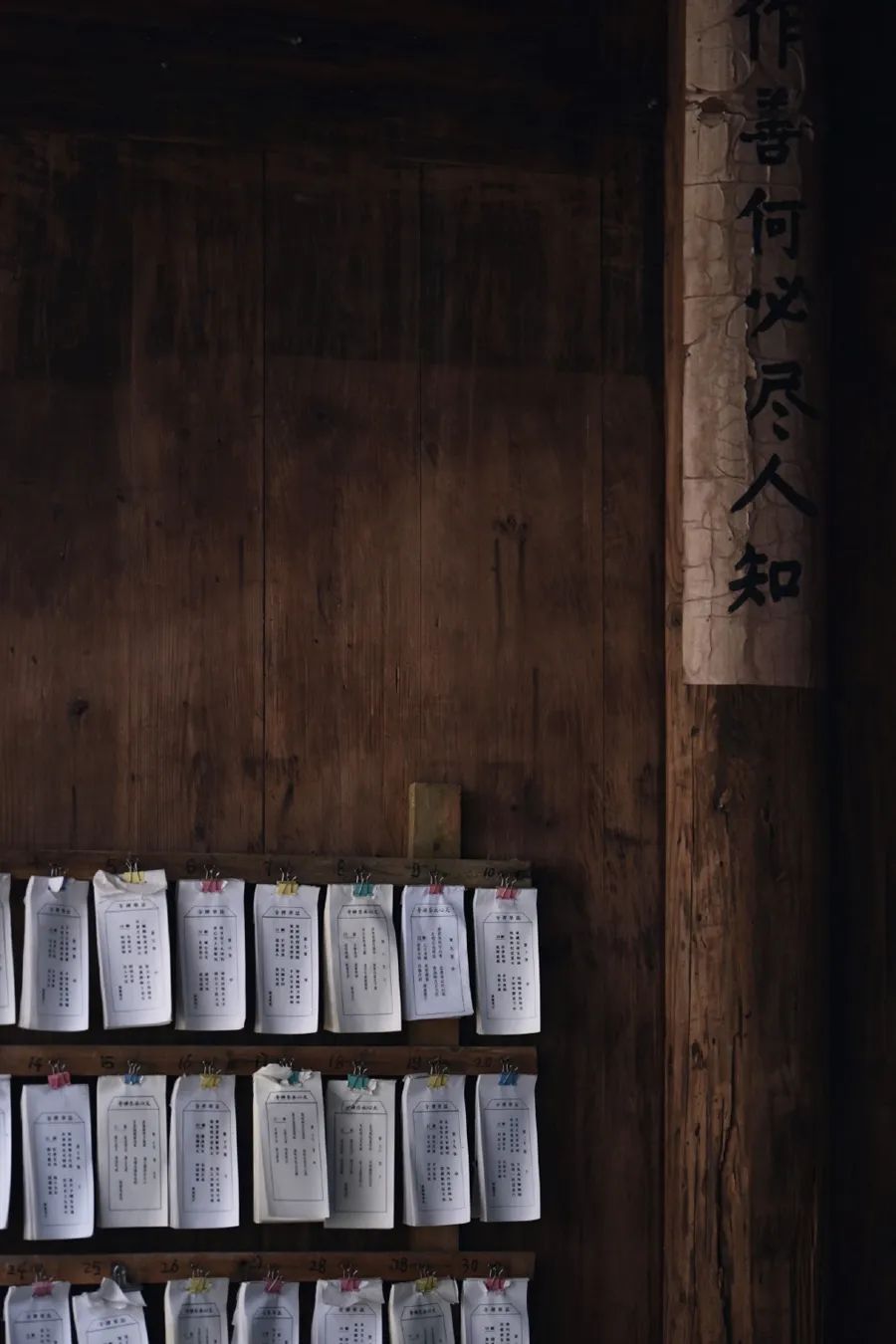 倾情荐读：时间的名字