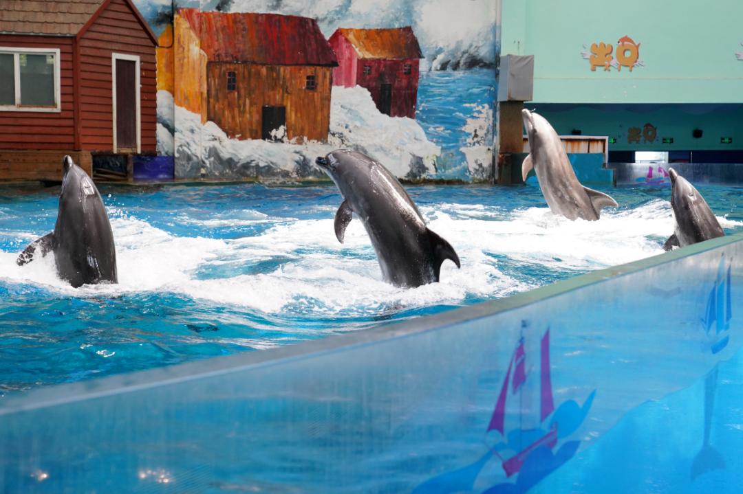 西安炎炎夏日游玩攻略,西安避暑纳凉好去处都市快报