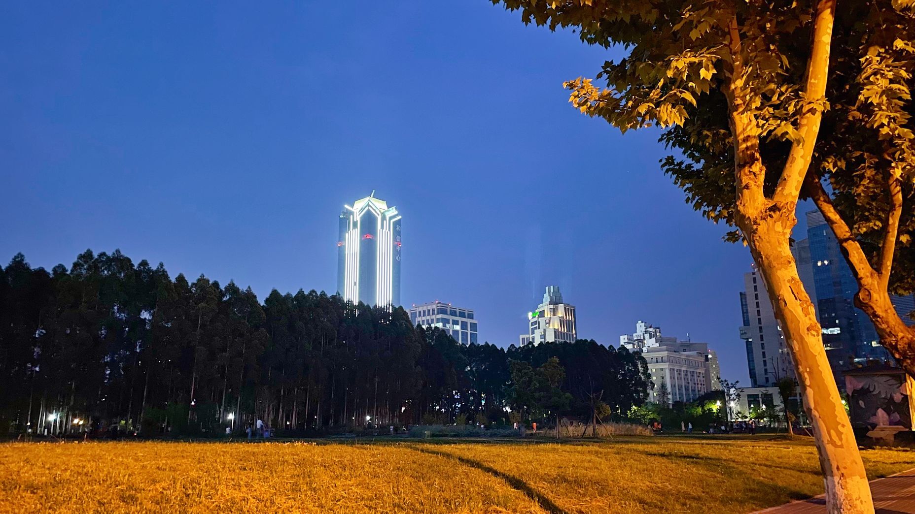 成都第一高楼最新进度,成都第一高楼目前进度