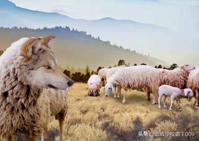 日本足球野心终于露出獠牙,足球更衣室曝光