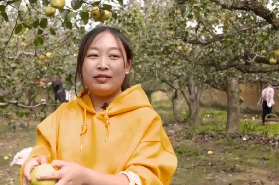 农村种梨销售,农村种梨怎么赚钱