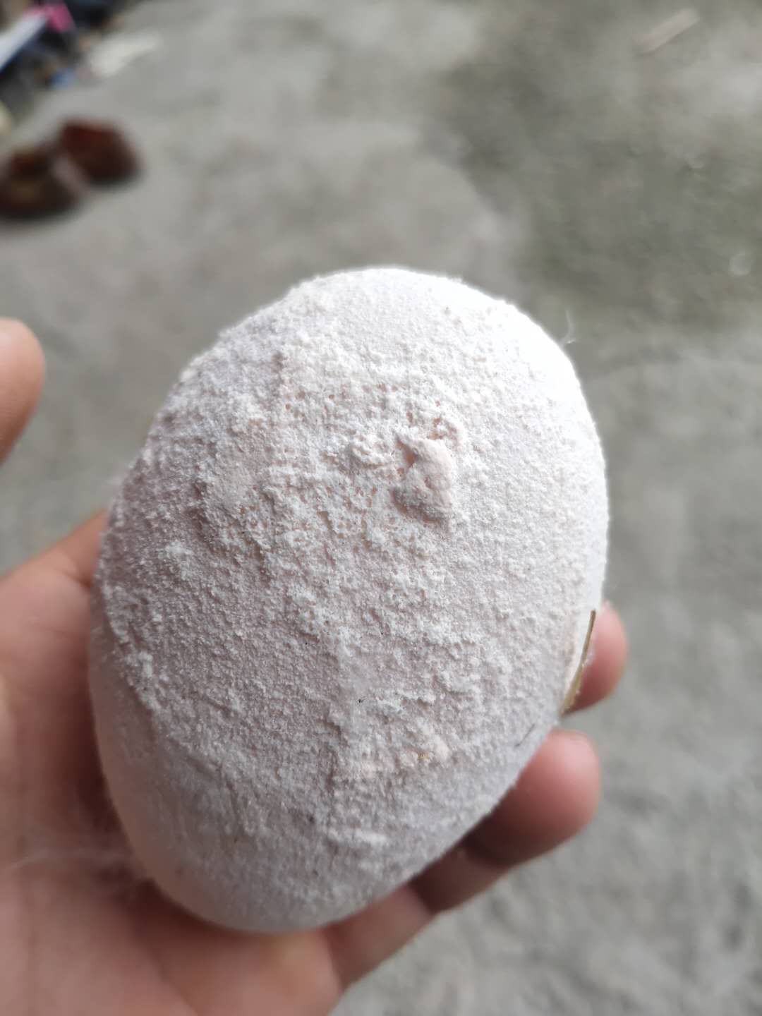 种鸭输卵管炎原因,种鸭输卵管炎怎么治疗