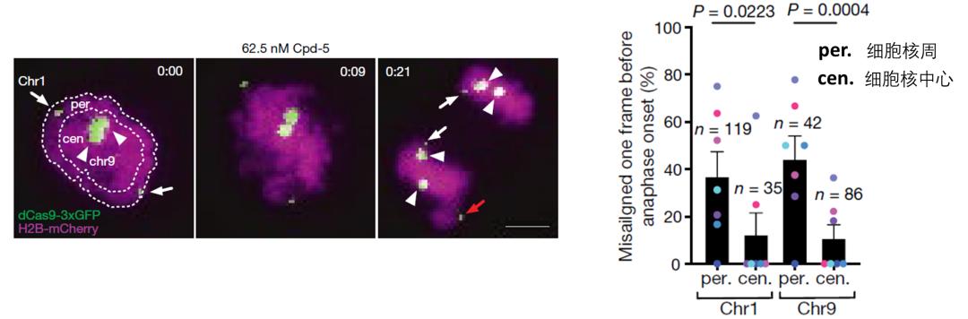 nature最新科研成果,nature最新研究结果