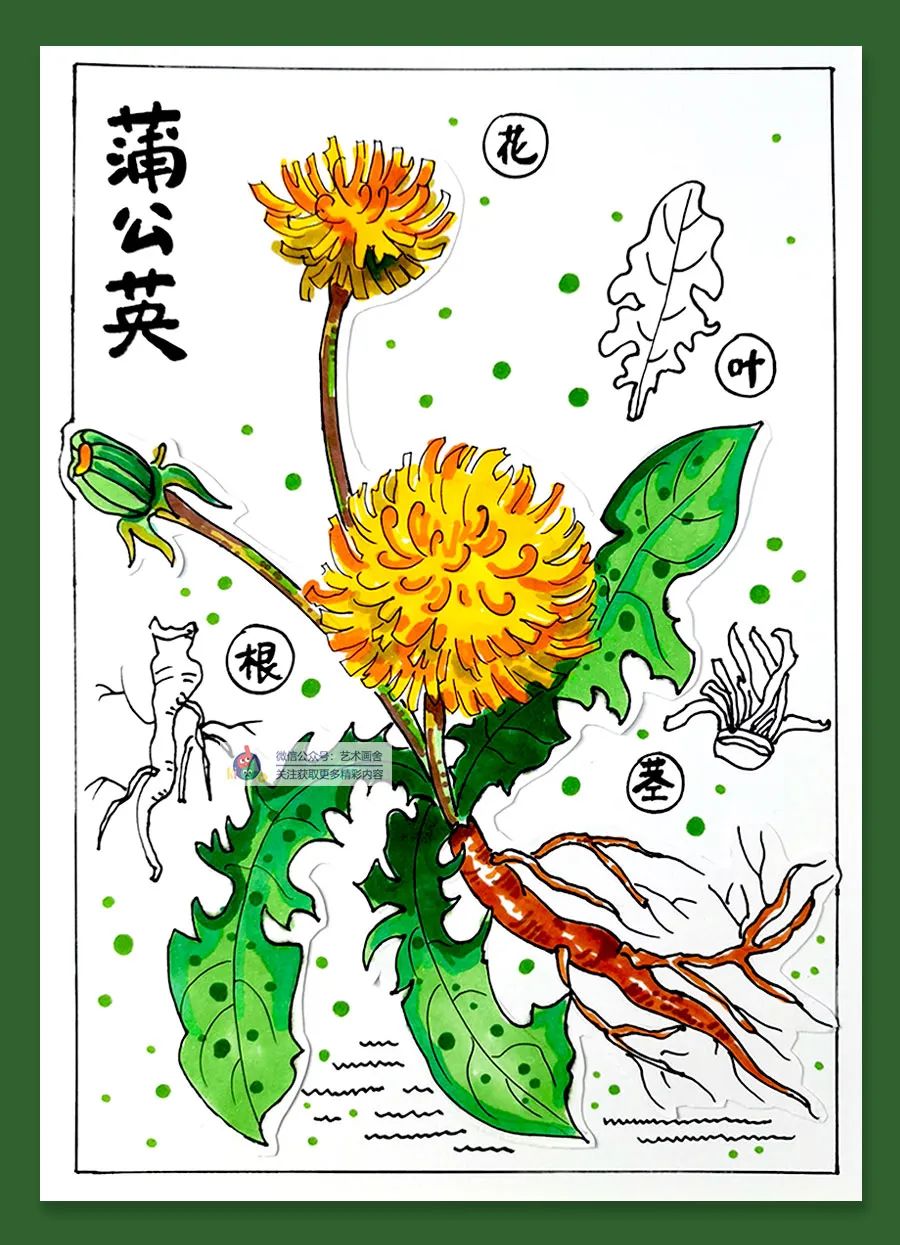 蒲公英怎么画儿童画,简单又好看的线条画蒲公英