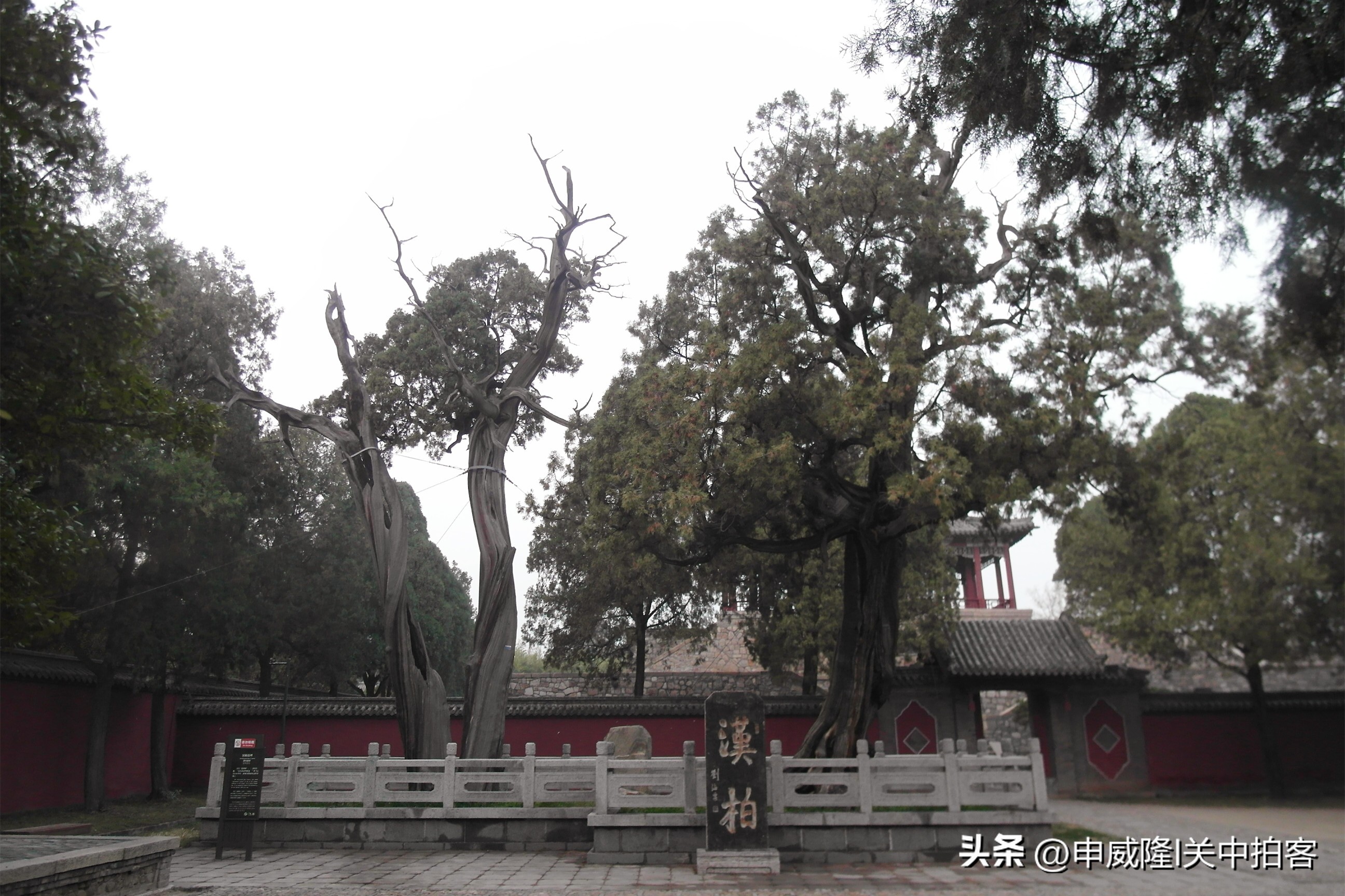 登泰山玉皇顶风景,登泰山顶看美景