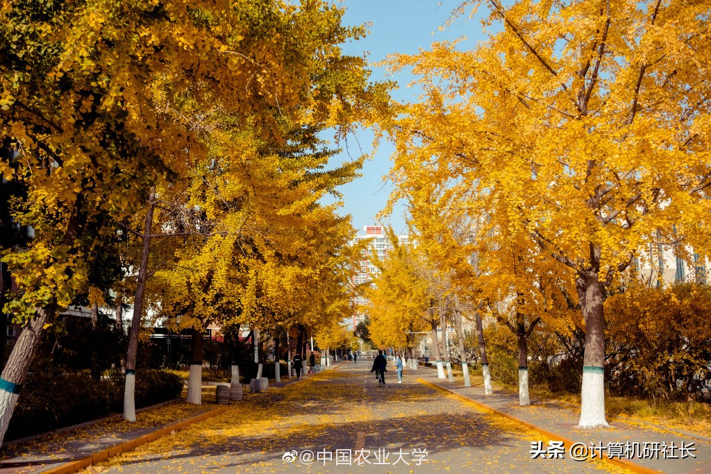 东北大学材料科学与工程考研,东北大学材料工程考研分数