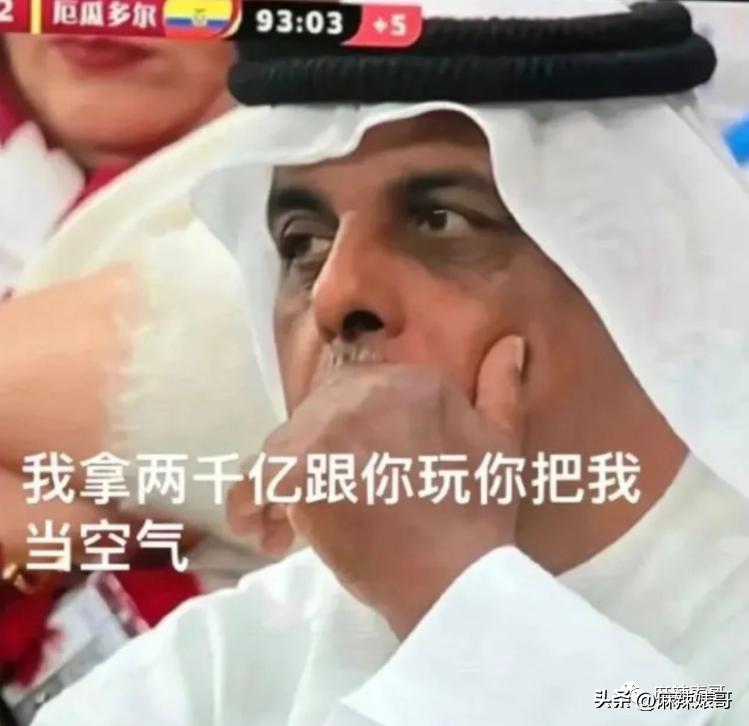 金晨模仿卡塔尔小王子晒照,金晨模仿卡塔尔王子被起诉了吗