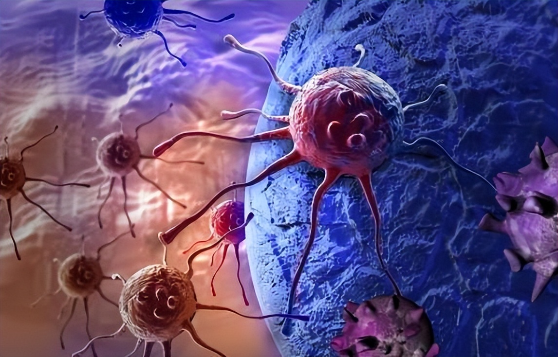 羊肉是心血管的祸根还是营养佳品,羊肉对癌细胞的作用