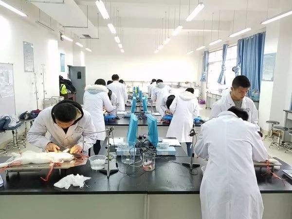 他自称比马云还有钱，家中保姆身价过亿，“民间股神”来历不简单