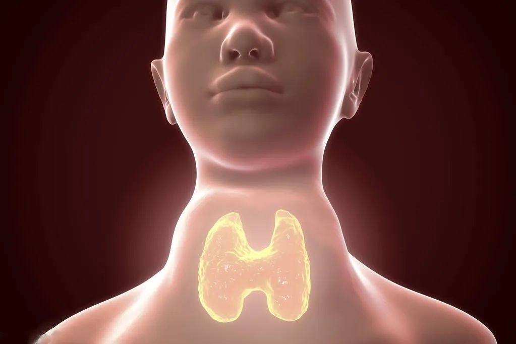 青春期甲亢早期症状有哪些,如果得了甲亢早期有什么症状