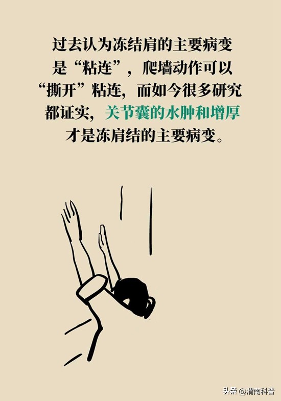 肩膀不抻不疼一抻就疼,肩膀往后伸疼