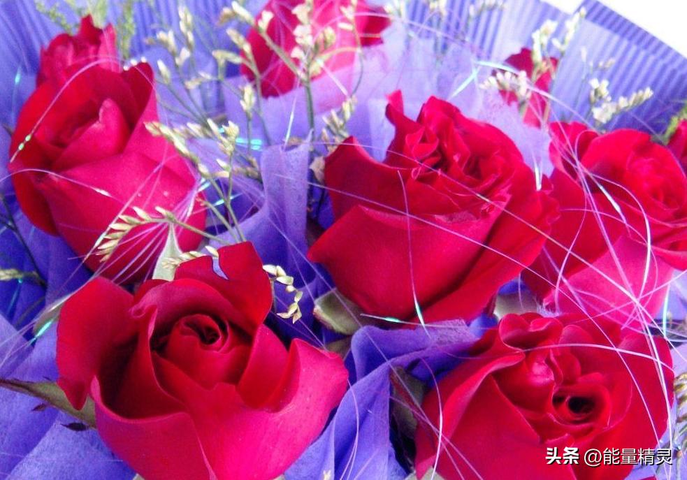 常见花的养护知识大全,各种花卉植物养护要点有哪些