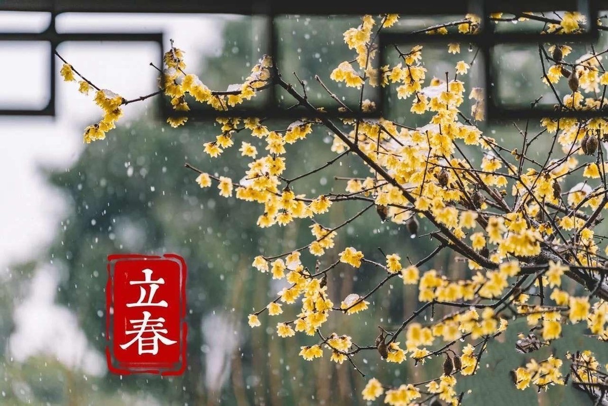 有什么关于立春唯美文案,有意境的新年文案