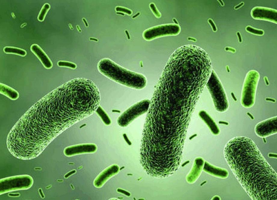 鸡蛋不放冰箱放一年都不坏的方法,鸡蛋保存方法可直接放冰箱保鲜吗