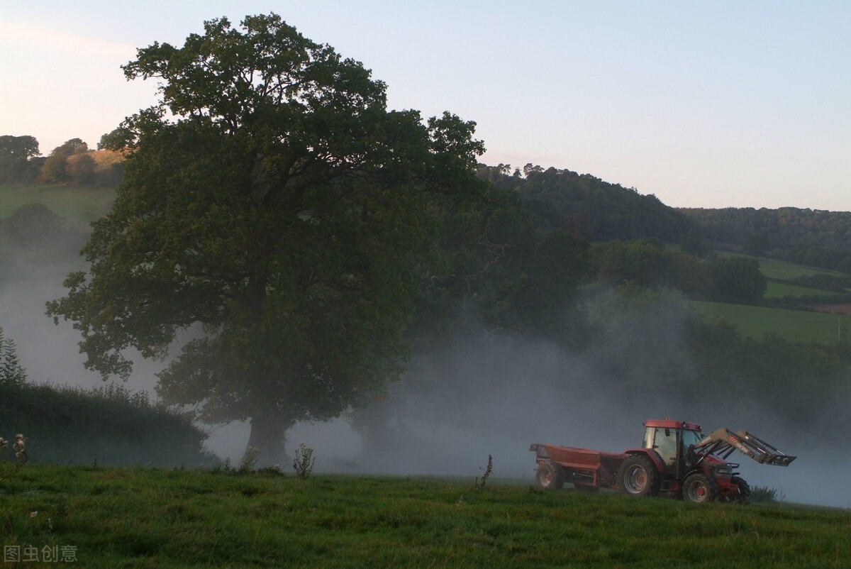 钻肉里的虫子是什么虫子,钻肉的虫子叫什么