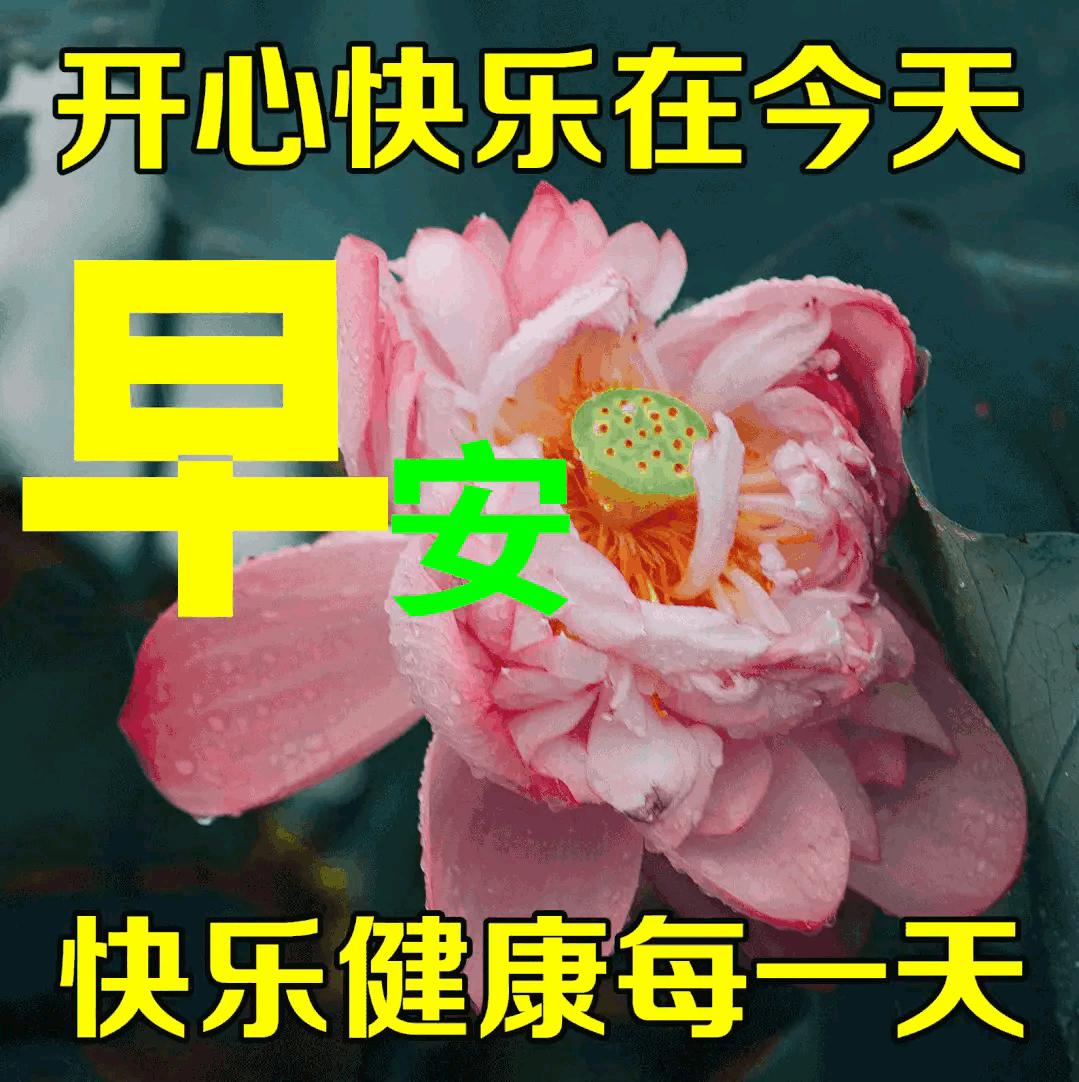 乙木命2023年癸卯年运势怎样,农历2023年癸卯年正月结婚吉日