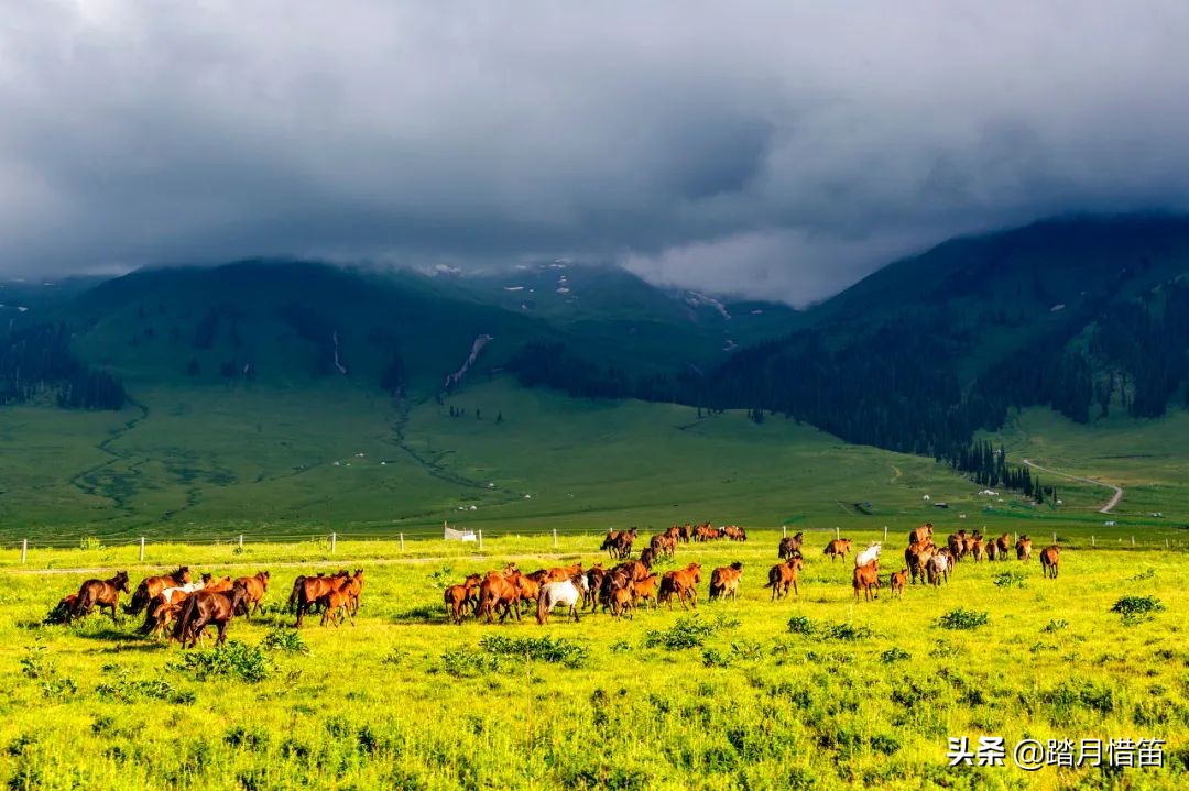 十大aaaaa级景区旅游攻略,最新最全的全国aaaaa景区