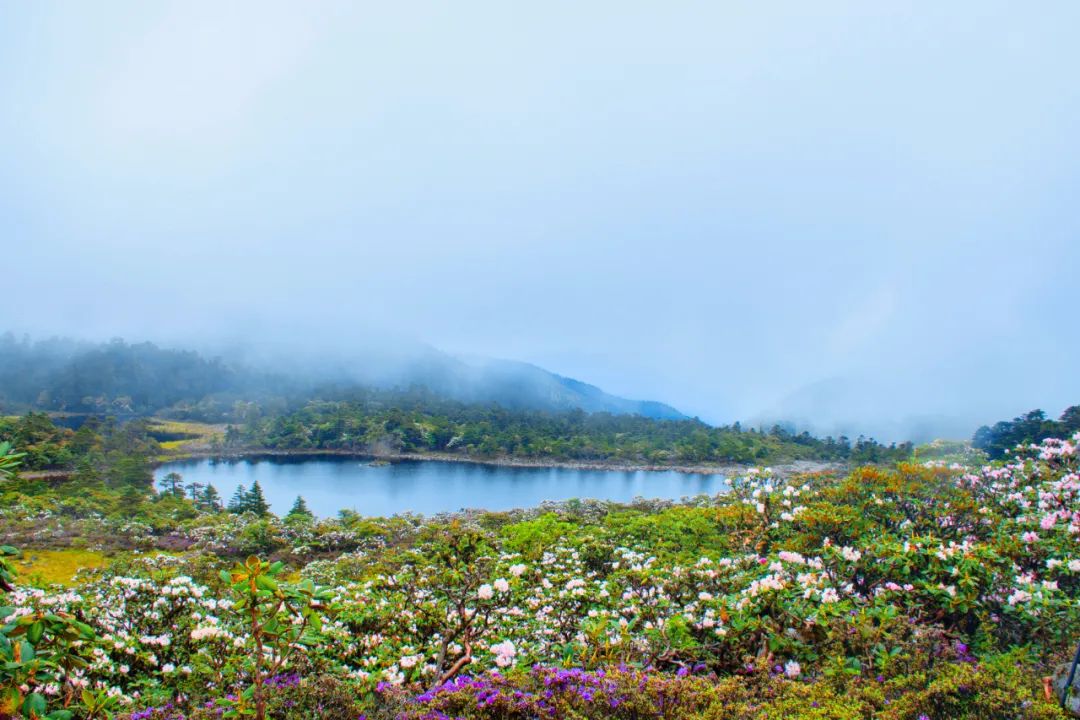 昆明七彩云南怎么样,七彩云南避暑家园