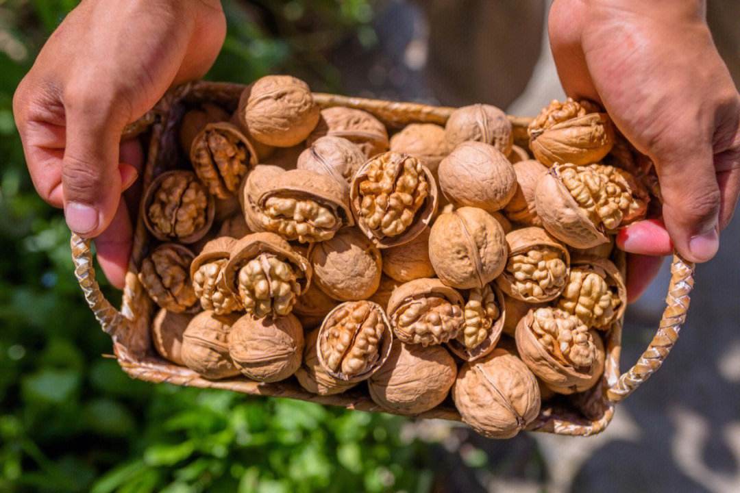 核桃为什么越来越便宜商贩说实话,小小核桃竟然有这么大的隐患