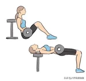 卷尾骨就是收紧腹部吗,卷尾骨夹臀吗