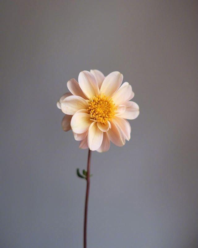 心灵鸡汤影响一生的心灵感悟,心灵鸡汤小说收藏榜