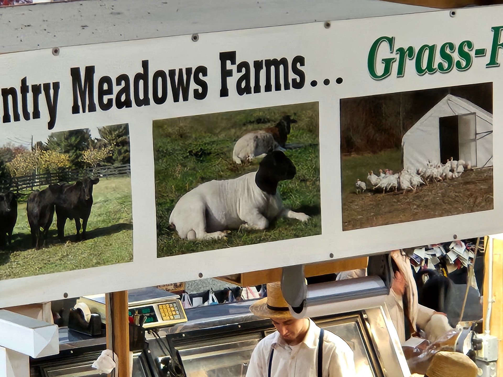 三星galaxys23深度评测王者,三星galaxys23全系评测