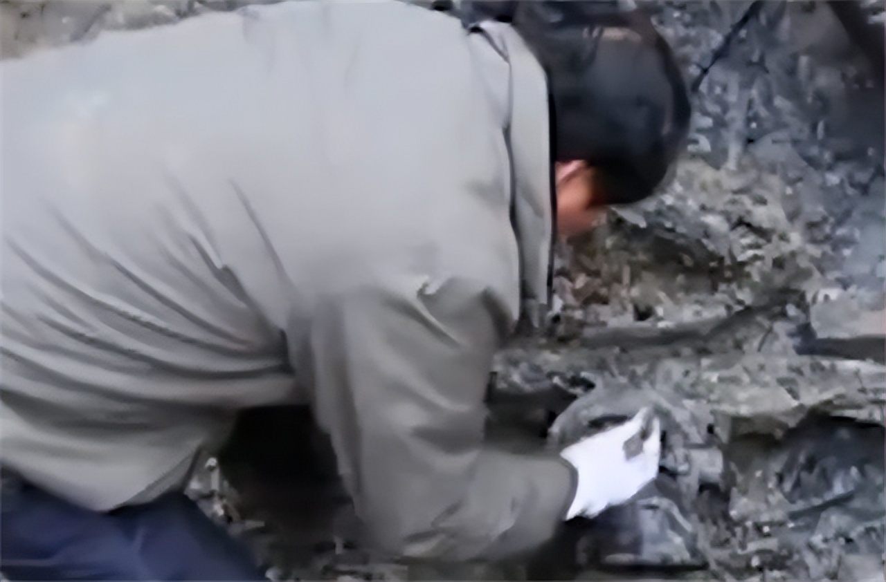 考古挖出古墓的尸体,西安考古发掘古墓现场图片