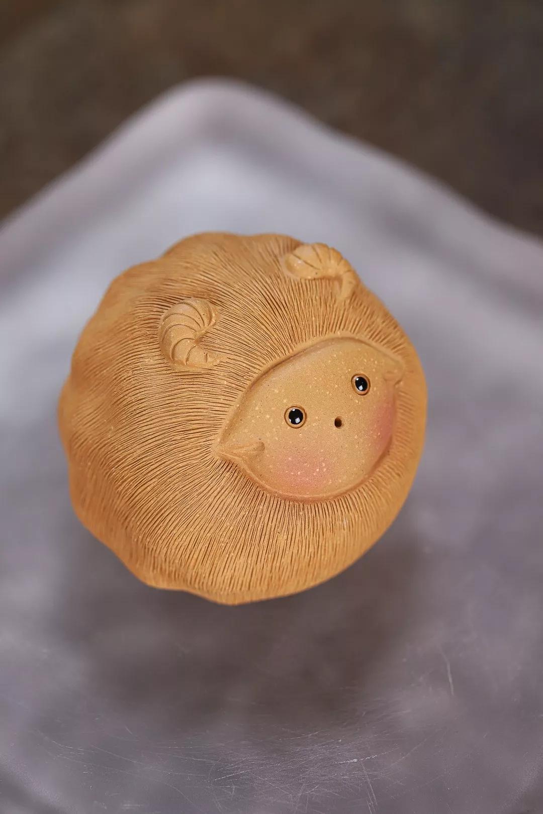 羊咩咩活体,羊咩咩款式