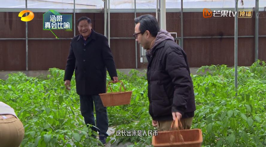 要说拍综艺，还得是湖南卫视，《云上的小店2》尽显野心和格局