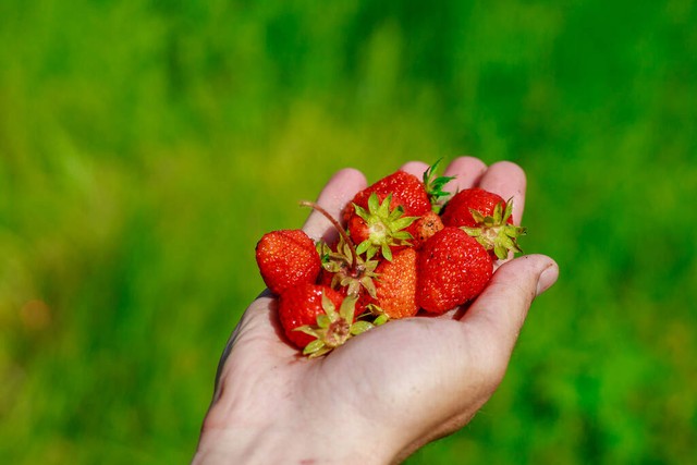 闄よ崏鍓傜绫诲強鍖哄埆澶у叏,鍚岀鎴愬垎鐨勯櫎鑽夊墏鎬庝箞鍖哄垎濂藉潖