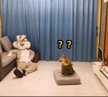 外卖小哥的搞笑事件盘点,外卖员搞笑问题