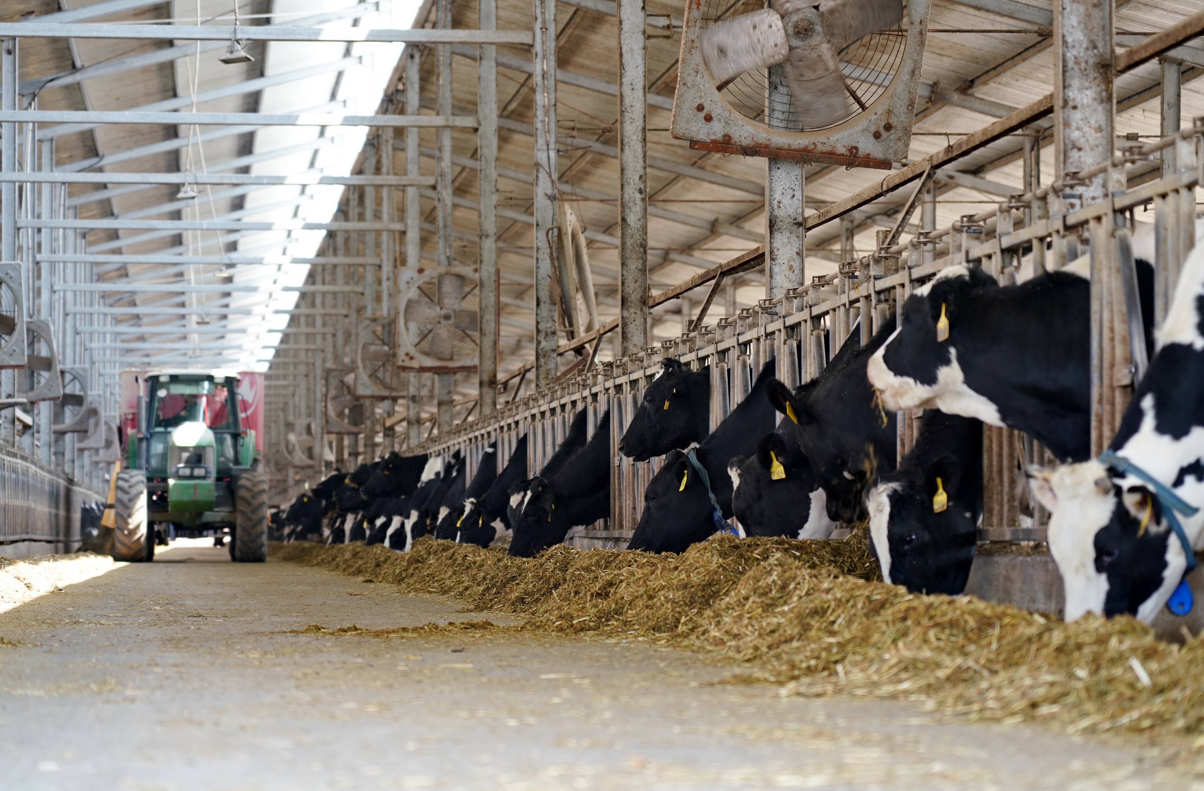 奶牛养殖场建设的标准是,奶牛养殖小区管理