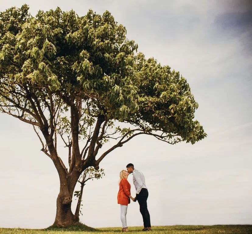 我不许萨迷双11还单身