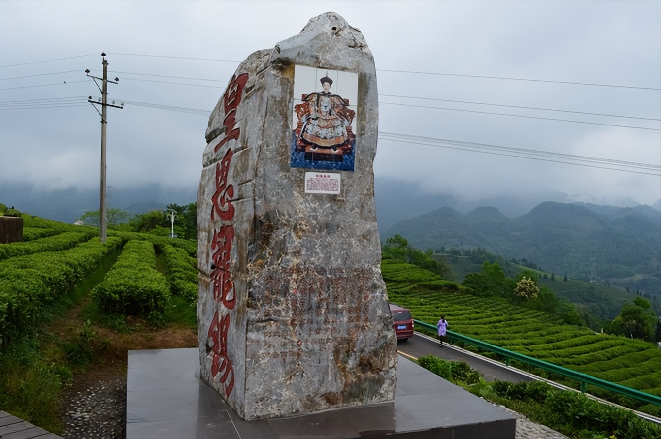 大城武汉,小城恩施——绿油油的伍家台