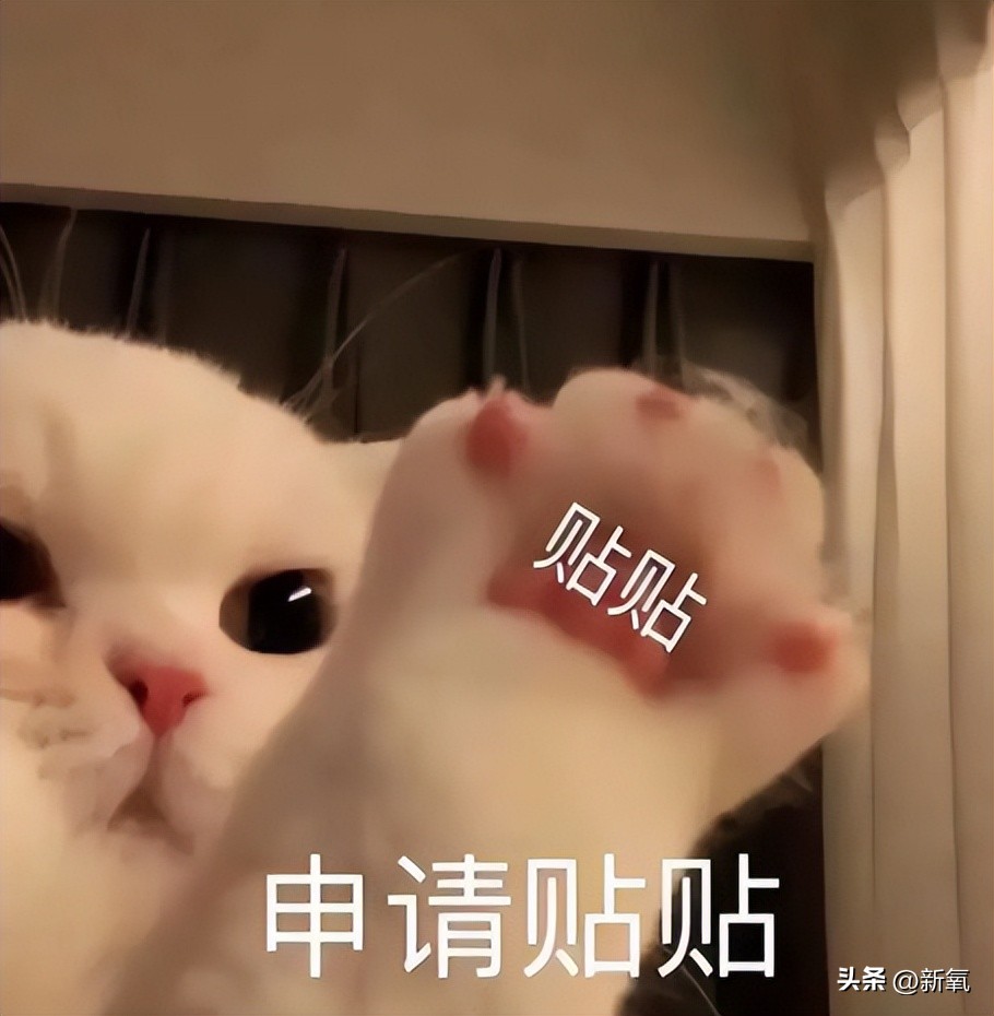 盘点世界杯球星太太团,世界杯球星太太排名