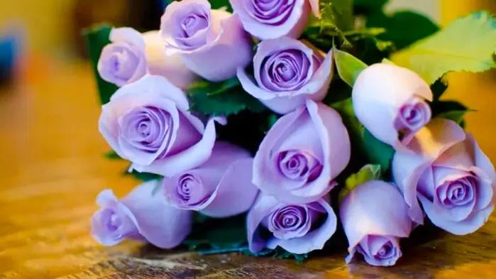 玫瑰花的浪漫花语是什么,七朵玫瑰花的花语