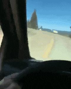 老鼠贴粘掉老鼠几个毛会死吗,老鼠贴粘到老鼠跑掉以后会死吗