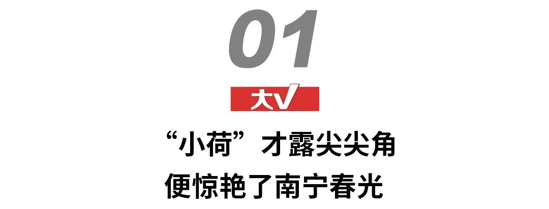 凭对几个经典符号的演绎，TA在南宁创造新的经典