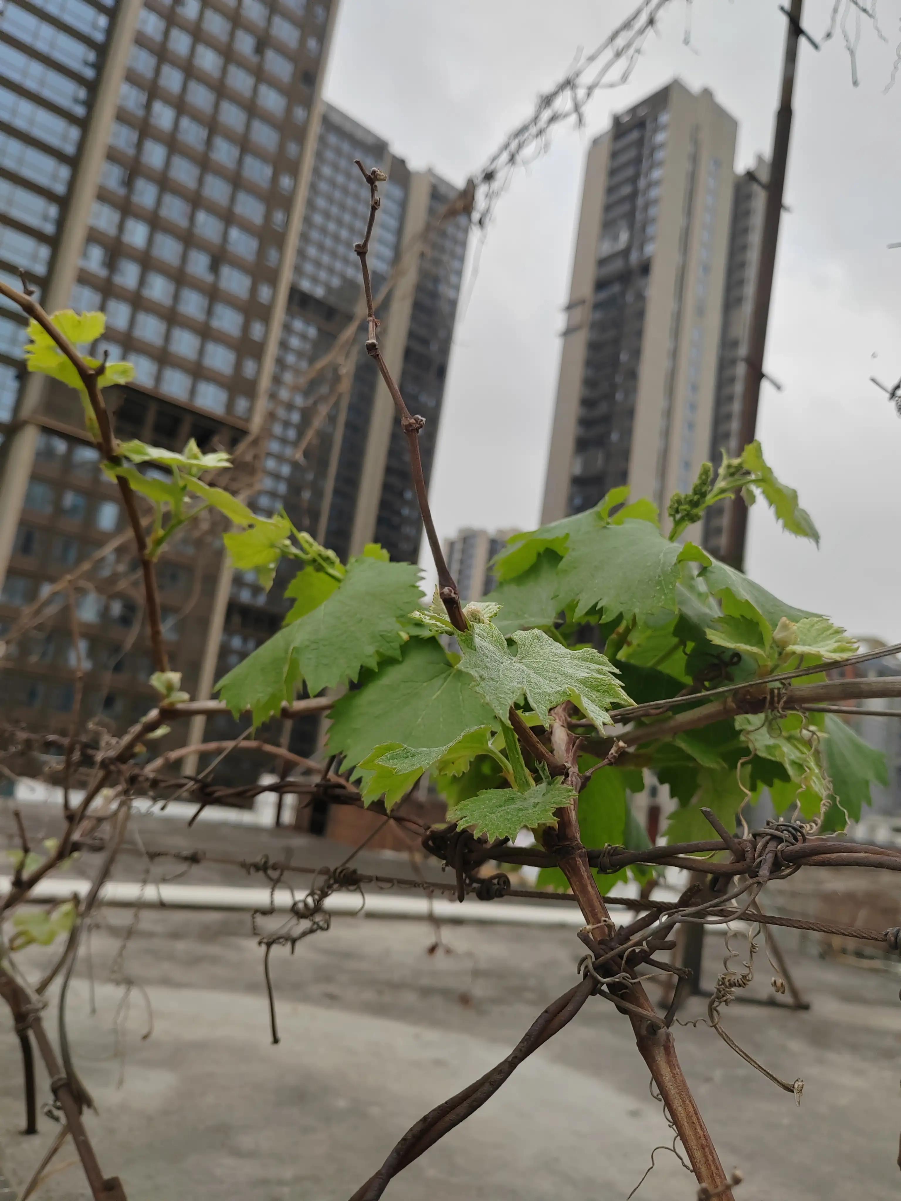 学习外贸跟单操作的收获,没经验怎么做外贸跟单赚钱