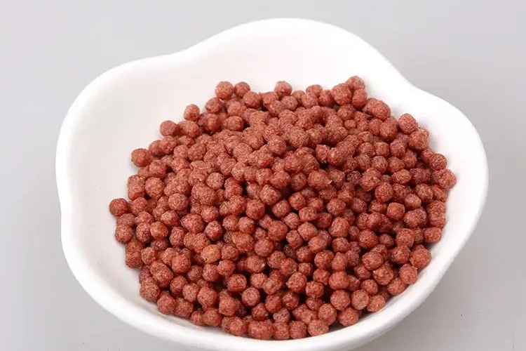 观赏鱼的饲养技巧和注意事项,观赏鱼饲养必备常识